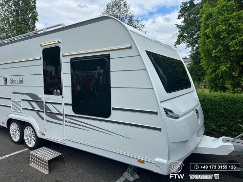 BELLINI 655 / 2026