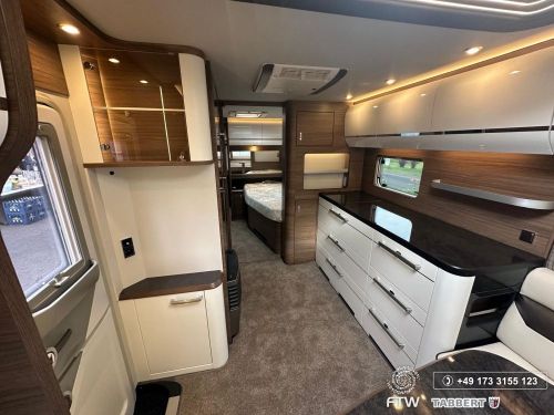 BELLINI 655 / 2026